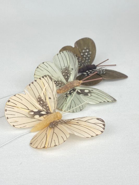 Dekorationsfjäril